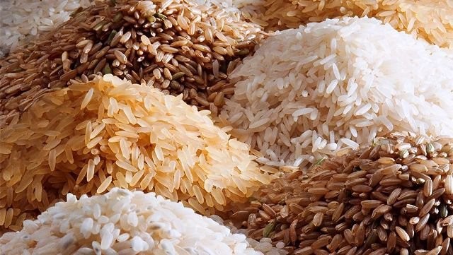 Lúa gạo vững giá, đầu ra lặng sóng: Nỗi thấp thỏm giữa mùa vàng