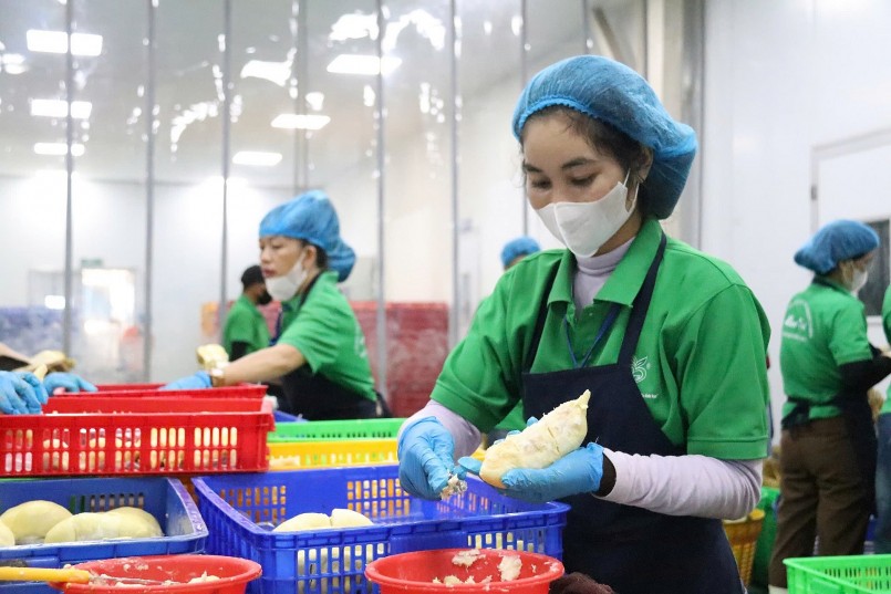 Nhân viên đang đóng gói sầu riêng đông lạnh phục vụ xuất khẩu, phản ánh tín hiệu phục hồi tích cực của ngành rau quả.