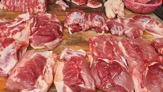 Nhận biết thịt lợn bệnh giữa nguy cơ dịch tả lợn châu Phi bùng phát