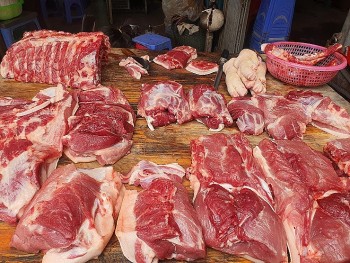 Nhận biết thịt lợn bệnh giữa nguy cơ dịch tả lợn châu Phi bùng phát