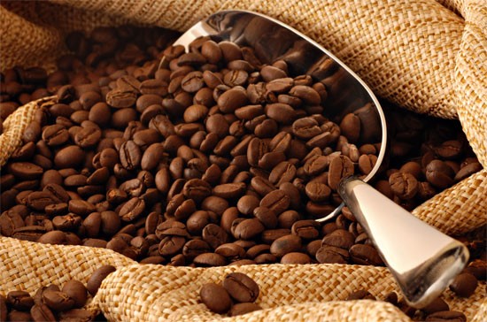 Giá cà phê hôm nay 16/7: Tăng phi mã, áp sát mốc 100.000 đồng/kg