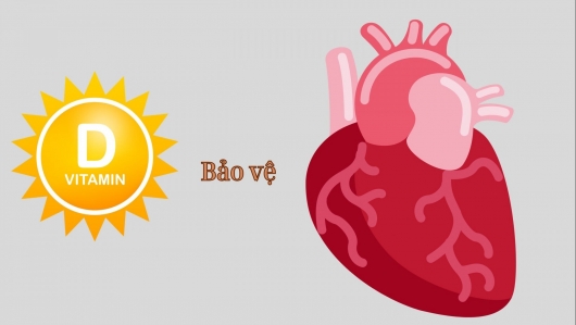 Vitamin D: “chiến binh thầm lặng” bảo vệ tim mạch