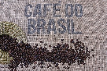 Thị trường cà phê toàn cầu biến động trước thời hạn áp thuế mới tại Mỹ