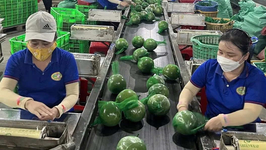 Đưa hàng Việt lên sàn Hoa Kỳ: Cơ hội lớn, cần bước đi đúng hướng