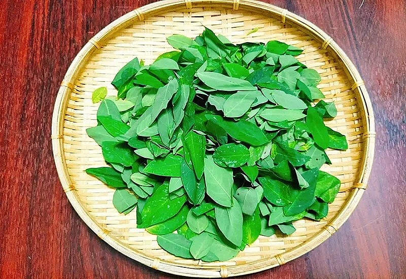 Mặc dù rau ngót mang lại nhiều lợi ích, nhưng việc sử dụng không đúng cách hoặc quá liều có thể dẫn đến những tác dụng phụ không mong muốn.