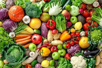 Xuất khẩu rau quả Việt Nam vững đà phục hồi, hướng tới mục tiêu kỷ lục 8 tỷ USD năm 2025