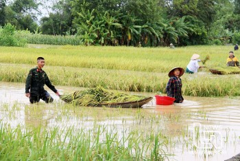 Bão số 3 gây thiệt hại nghiêm trọng tại Bắc Trung Bộ: Hơn 107.000 ha lúa ngập úng