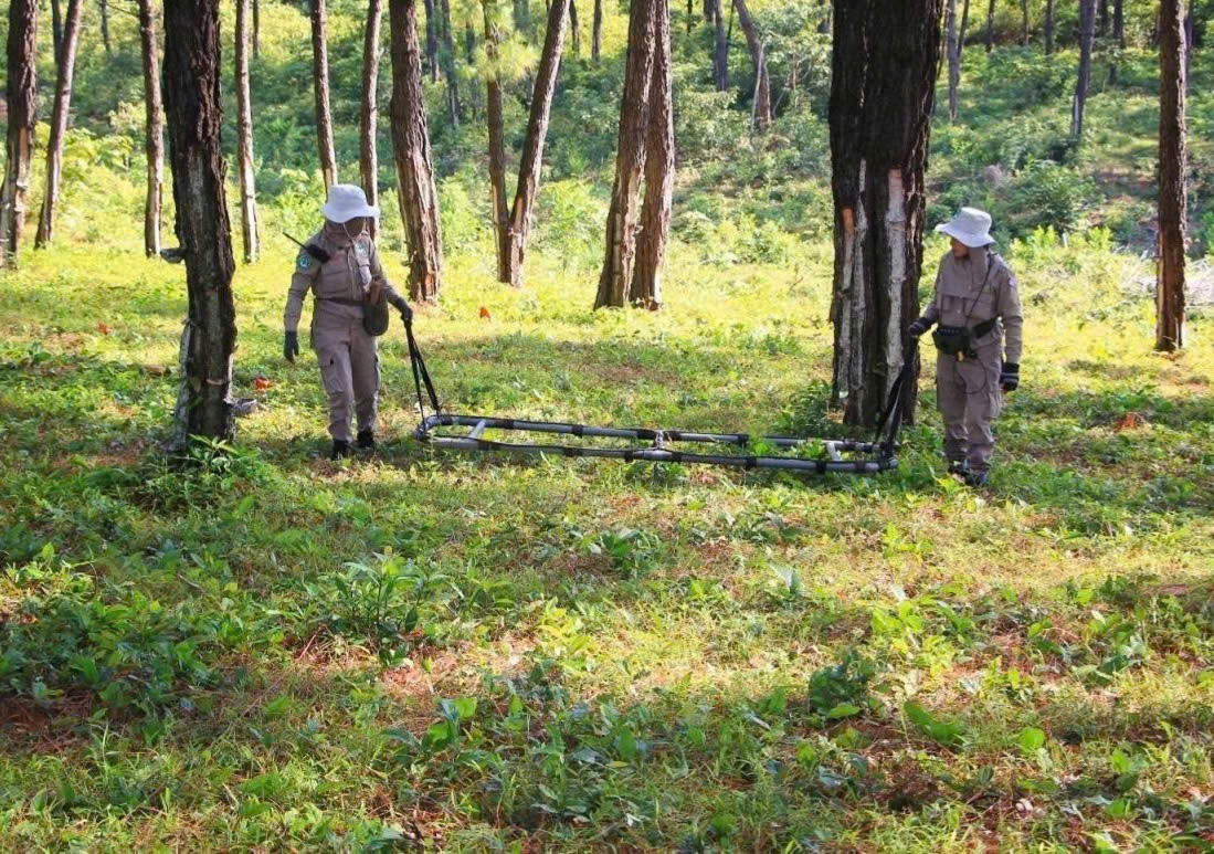 Tỉnh Quảng Trị: Rừng thêm xanh trên mảnh đất kiên cường