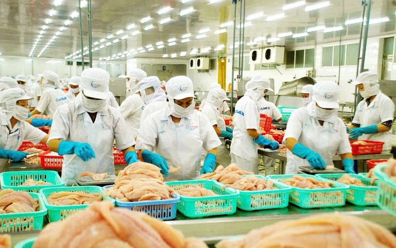 Đầu tư vào chế biến sâu, tạo ra các sản phẩm giá trị gia tăng như phi lê cá tra là chìa khóa để doanh nghiệp thủy sản chinh phục các thị trường mới như châu Á và khối CPTPP.
