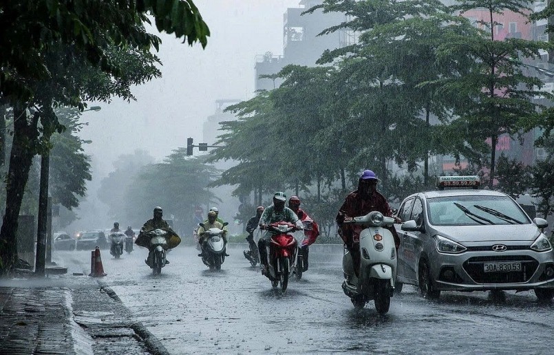 Mưa lớn kéo dài: Nông dân cần ứng phó khẩn cấp