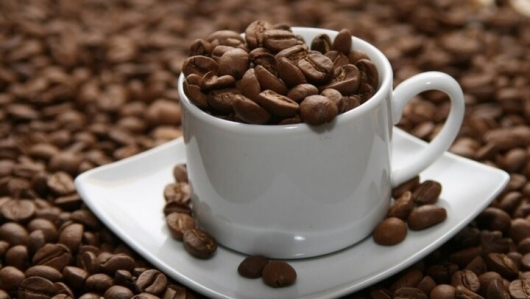 Giá cà phê tăng phi mã chạm mốc 96.200 đồng/kg, điều gì đang xảy ra?