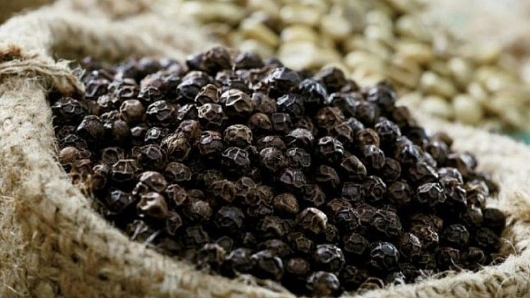 Thị trường hồ tiêu lặng sóng chờ cú hích mới, chuyên gia nhận định giá sẽ sớm tăng trở lại
