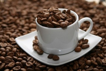 Giá cà phê tăng phi mã chạm mốc 96.200 đồng/kg, điều gì đang xảy ra?