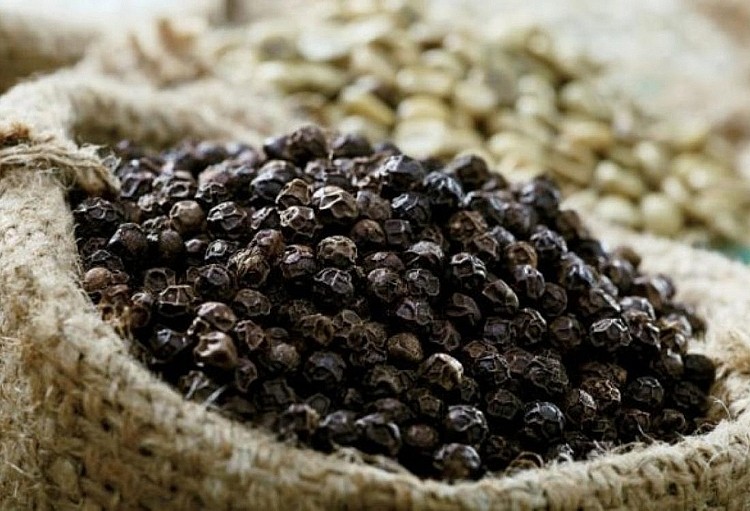 Thị trường hồ tiêu lặng sóng chờ cú hích mới, chuyên gia nhận định giá sẽ sớm tăng trở lại