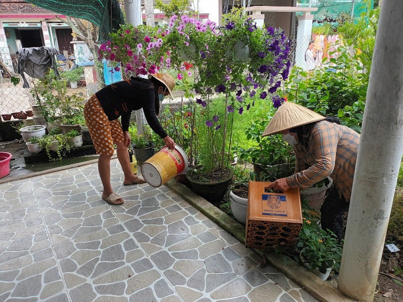 Chủ động diệt lăng quăng/bọ gậy – biện pháp phòng bệnh sốt xuất huyết.