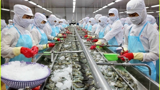 Xuất khẩu thủy sản 2025: Cuộc đua chinh phục mốc 10 tỷ USD
