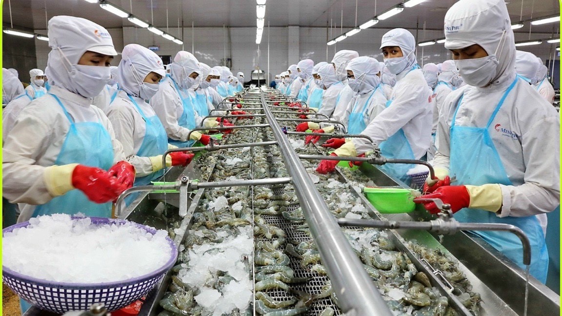 Xuất khẩu thủy sản 2025: Cuộc đua chinh phục mốc 10 tỷ USD