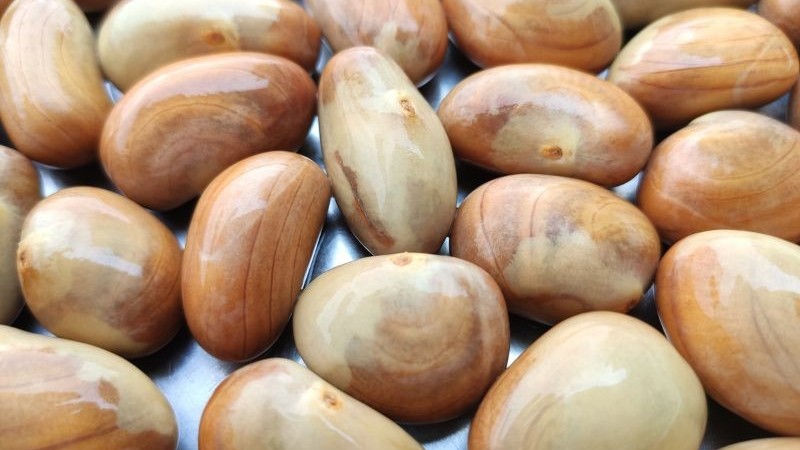 Hạt mít – 'siêu thực phẩm' bị lãng quên: Lợi ích vàng và mặt trái cần biết