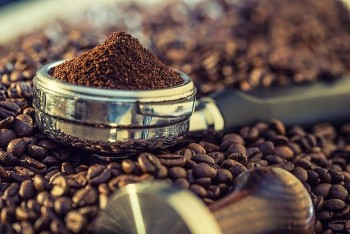Giá cà phê ngày 31/7: Vượt 98.000 đồng/kg, thị trường nội địa “dậy sóng”