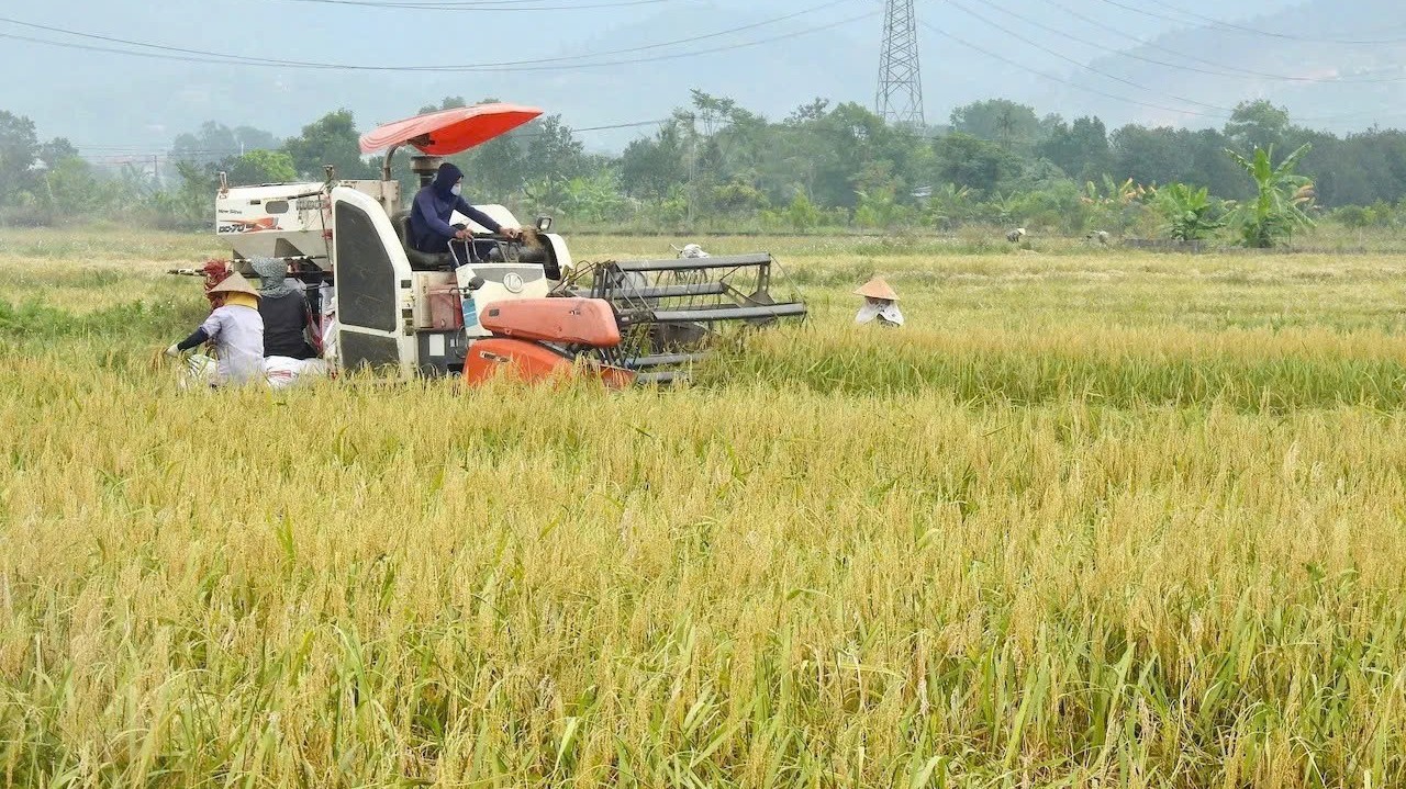 Chiến lược giảm phát thải: Chìa khóa nâng tầm nông sản Việt
