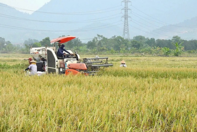 Chiến lược giảm phát thải: Chìa khóa nâng tầm nông sản Việt