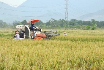 Chiến lược giảm phát thải: Chìa khóa nâng tầm nông sản Việt