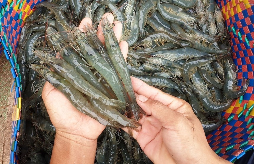 VASEP kiến nghị 