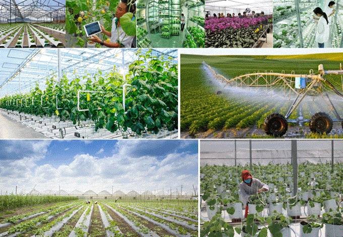 Nông nghiệp thời công nghệ số: xây dựng thương hiệu sản phẩm thanh hóa trên nền tảng số