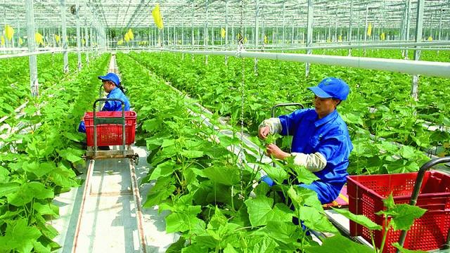 Nông nghiệp thời công nghệ số: xây dựng thương hiệu sản phẩm thanh hóa trên nền tảng số