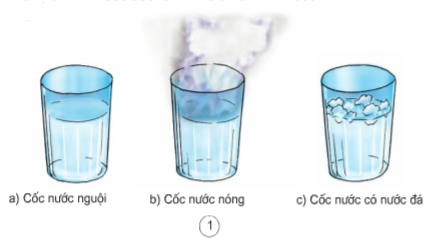 Sự khác biệt về nhiệt độ nước có thể ảnh hưởng đáng kể đến tốc độ hòa tan và hấp thu thuốc trong cơ thể.