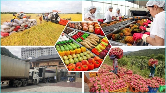 Xuất khẩu gần 40 tỷ USD: Cơ hội vàng hay thử thách mới?