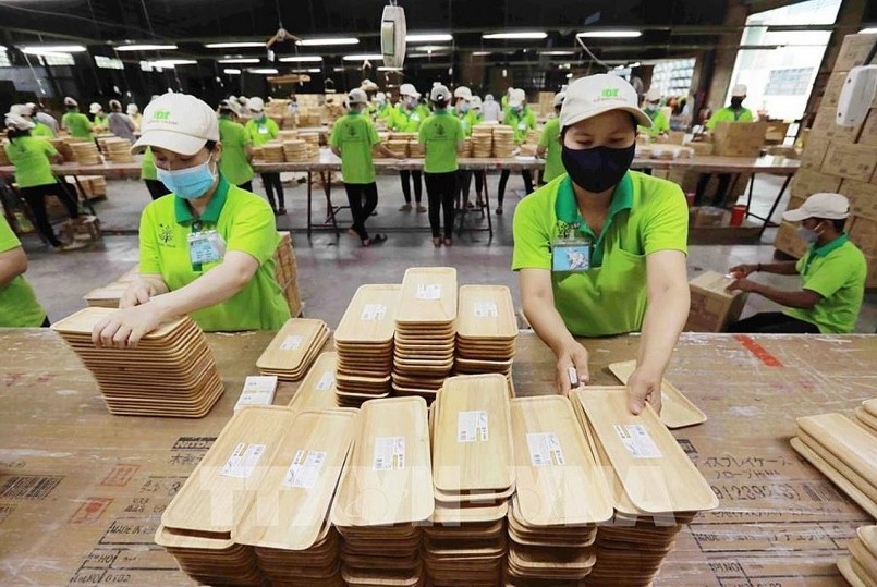 Rào cản thương mại và truy xuất: Gỗ Việt xoay xở ra sao?