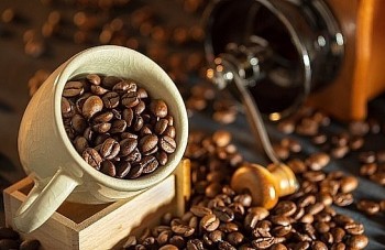 Giá cà phê hôm nay 6/8 tăng phi mã, chính thức vượt đỉnh 100.000 đồng/kg