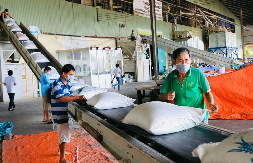 Hoạt động chế biến, đóng gói tại nhà máy gạo miền Tây – ngành gạo Việt cần chủ động tái cơ cấu thị trường để thích ứng với các biến động từ thị trường lớn như Philippines.