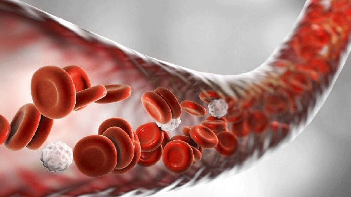 Cải thiện lưu thông máu: Khởi đầu từ bàn ăn và bước chân
