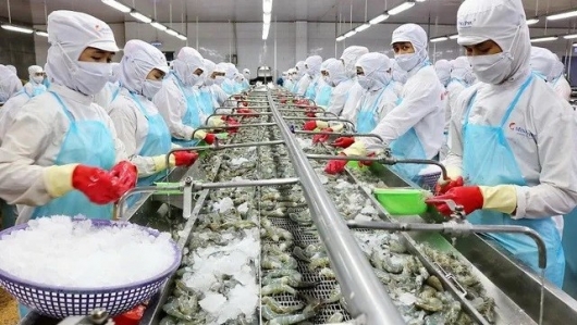 Trung Quốc vượt Mỹ, trở thị trường nhập khẩu thủy sản lớn nhất của Việt Nam