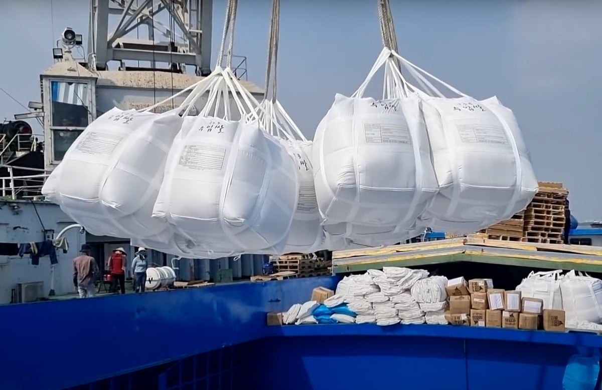 Xuất khẩu gạo tăng 3,1% về lượng nhưng 