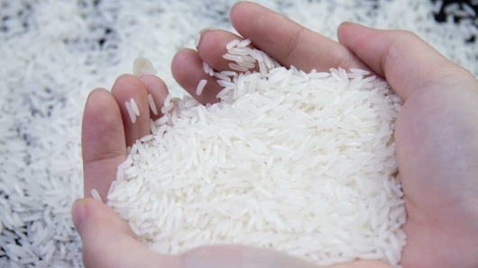 Philippines tạm dừng nhập khẩu gạo: Thách thức lớn cho ngành gạo Việt Nam