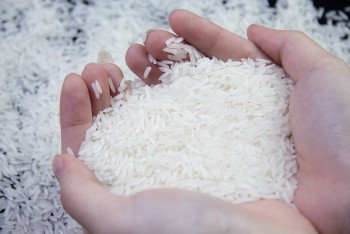 Philippines tạm dừng nhập khẩu gạo: Thách thức lớn cho ngành gạo Việt Nam