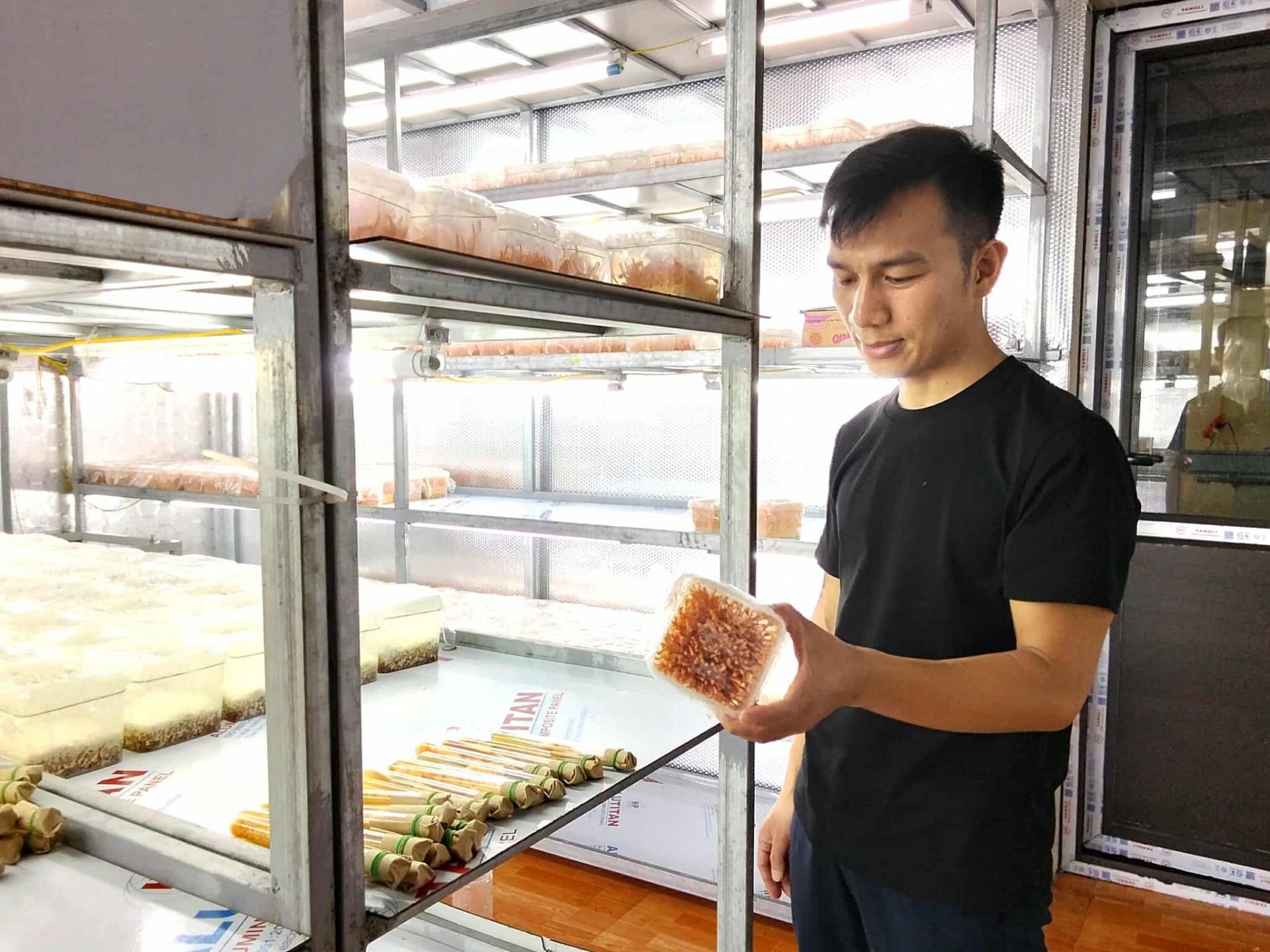Đông trùng hạ thảo Minh Trường và khát vọng nâng tầm dược liệu xứ Thanh