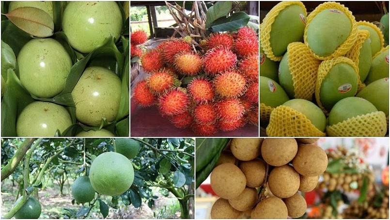 Chất lượng cao giúp trái cây Việt thâm nhập sâu thị trường Mỹ