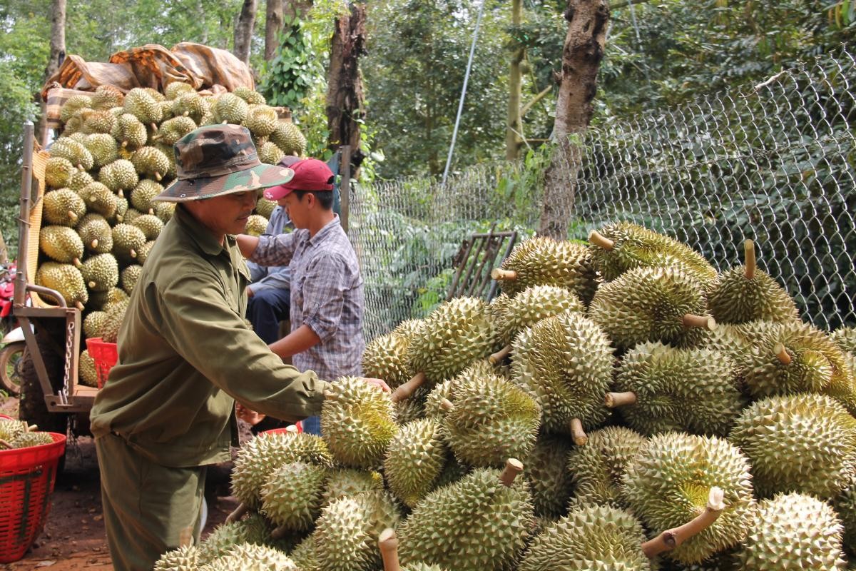 Doanh nghiệp Trung Quốc 