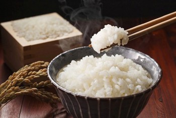 Vì sao hâm nóng thức ăn thừa lại tiềm ẩn rủi ro?