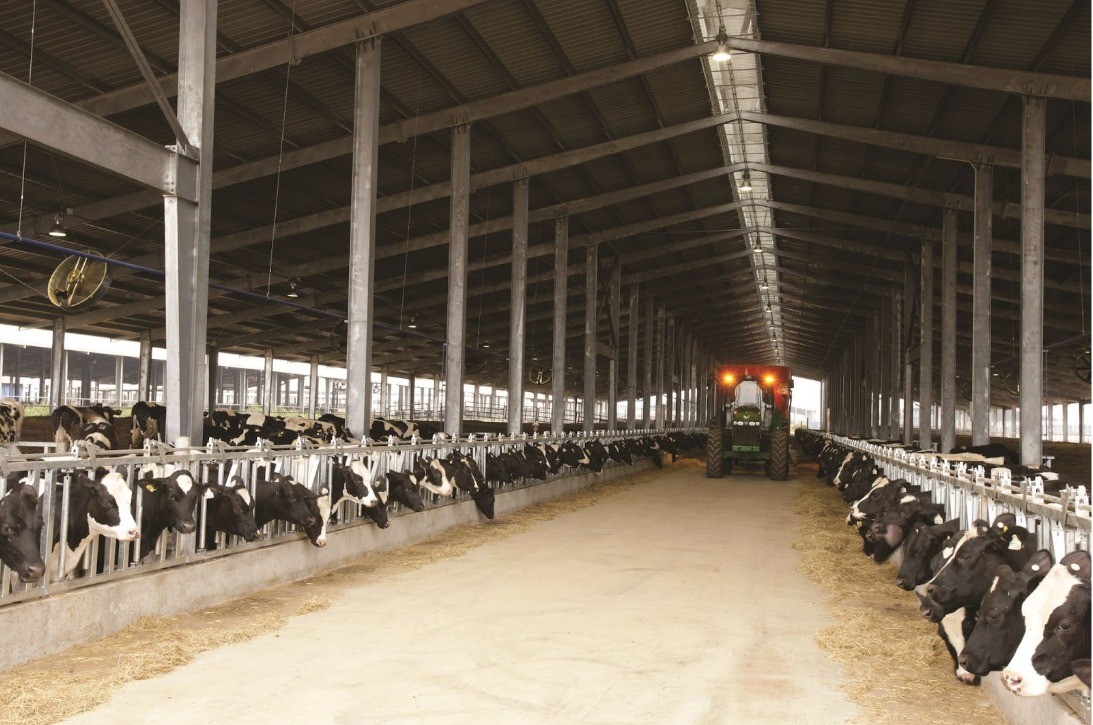 Tập đoàn TH đề xuất hai kịch bản cho Chiến lược phát triển ngành sữa đến năm 2030