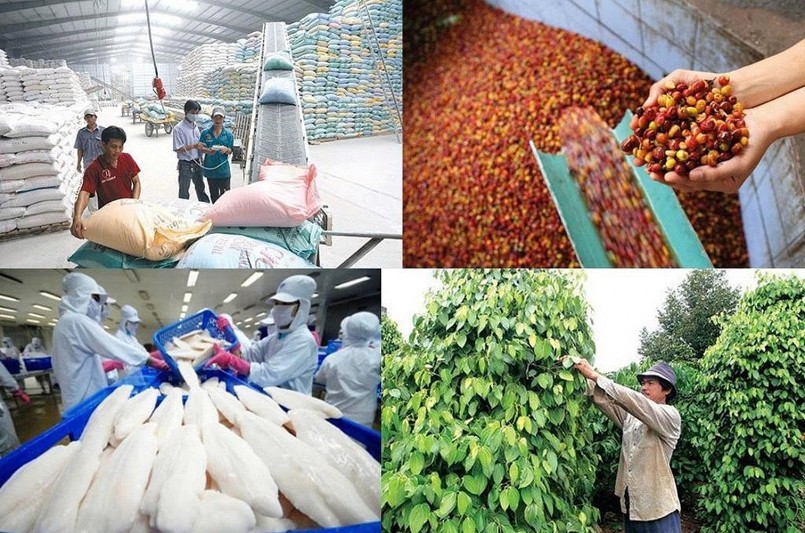 Nông sản Việt bứt phá gần 40 tỷ USD: Liệu có về đích 65 tỷ USD năm 2025?