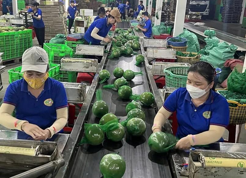 Quy trình đóng gói và kiểm định chất lượng nghiêm ngặt tại nhà máy, góp phần nâng cao giá trị sản phẩm nông sản xuất khẩu của Việt Nam.