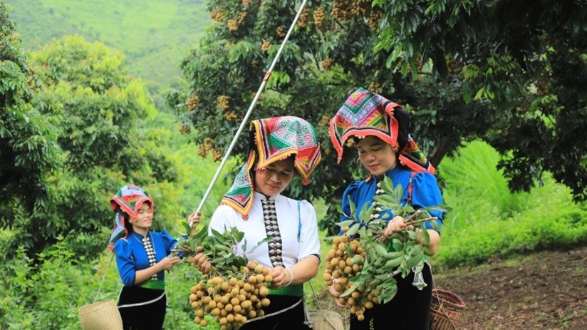 Hợp tác xã điện tử – Bước tiến số cho kinh tế tập thể