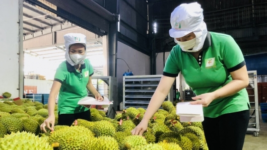 Thị trường Trung Quốc chi gần 55.000 tỷ cho rau quả Việt
