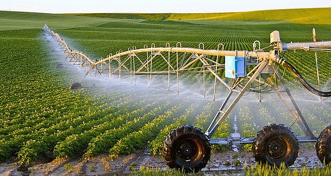 Ứng dụng quy trình canh tác tiên tiến và công nghệ tưới nước hiện đại giúp nâng cao năng suất và giá trị nông sản.