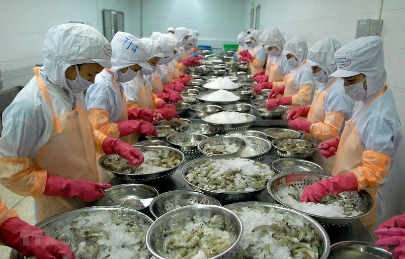 Đa dạng hóa thị trường: Chiến lược giữ đà tăng xuất khẩu tôm
